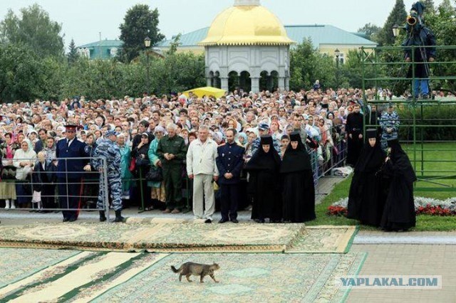 Старое это хорошо забытое новое. Много смешных картинок