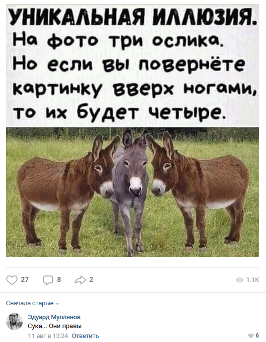 Смешные комментарии из социальных сетей 28.08.2020