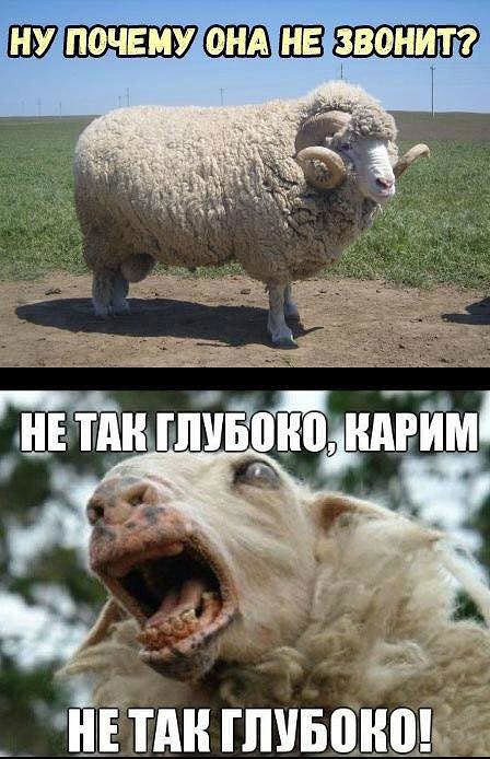 Тренировки новобранцев ХАМАС в Газе