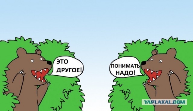 Беженца из Дагестана осудили на пять лет за угрозы порноактрисе.Как Вы считаете достойное наказание или нет?