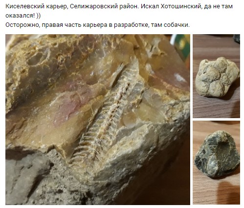 В Киселевске откопали "сердце дракона"