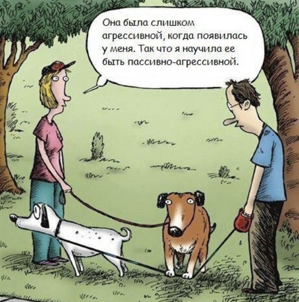 Собаки бывают