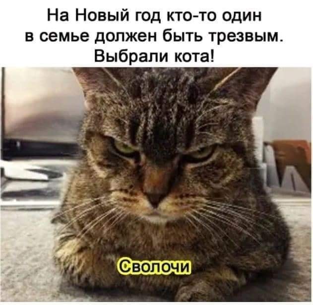 Бредзона 25.12.20