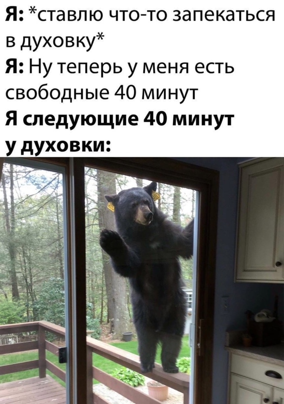 Весёлый полтишок 28.02