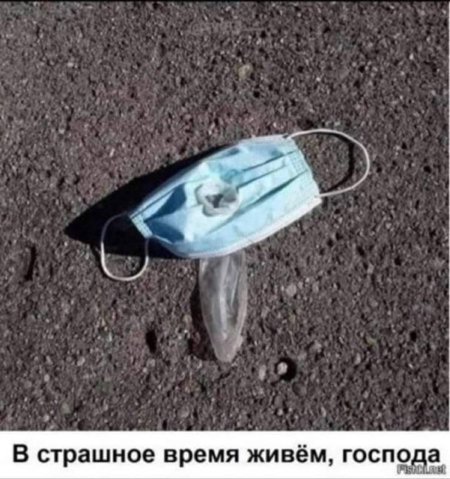 Россиян предупредили об эпидемии половой инфекции