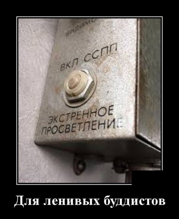 Насохранял