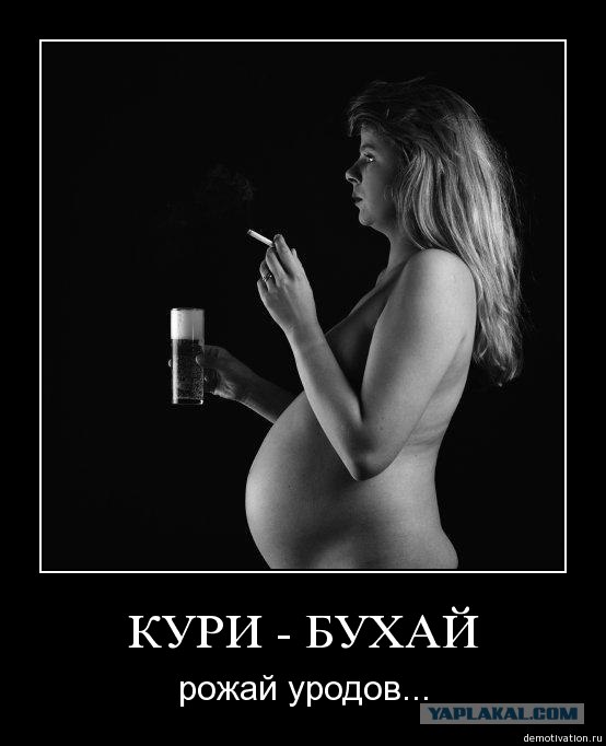1549524.jpg