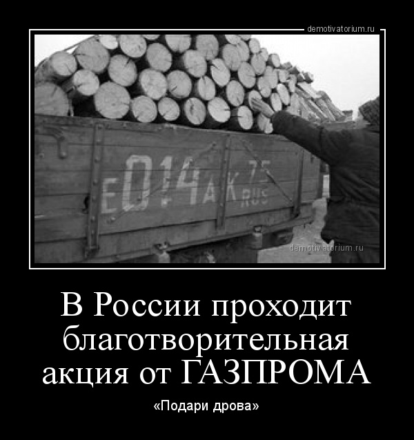 Пенсионерке из Краснотурьинска, которая пожаловалась Путину, вместо газа привезли дрова. Дело не стоит на месте!