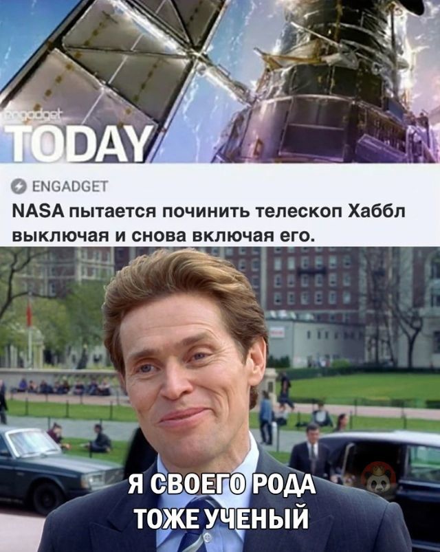 Кретинизмы из сети 17.07.21