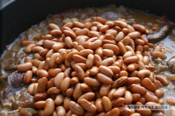 Фасоль – International, Или «Веселые нотки»