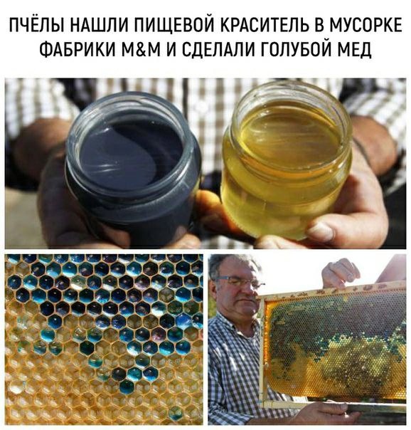 Картинки и мемы для настроения 28.07.2021