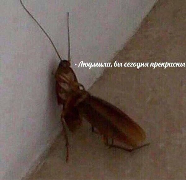 Всяческие картинки 15.12.2021
