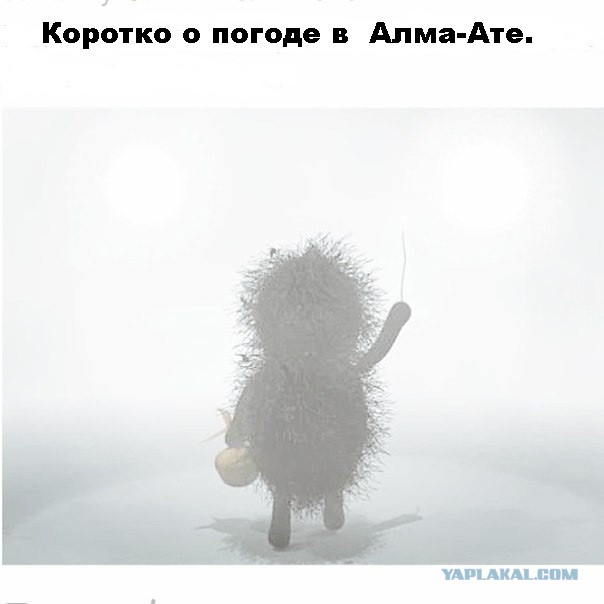 Трасса Алма-Ата - Хоргос