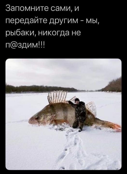 Продрючился с сомом