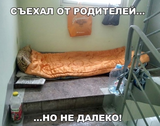 40 картинок разных 15.04.2022