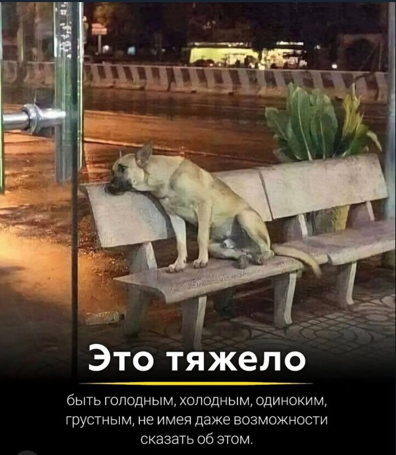 Картинки с надписями и всякие жизненные фразы