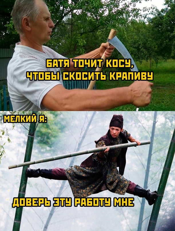 Весёлый полтишок 08.06.2022