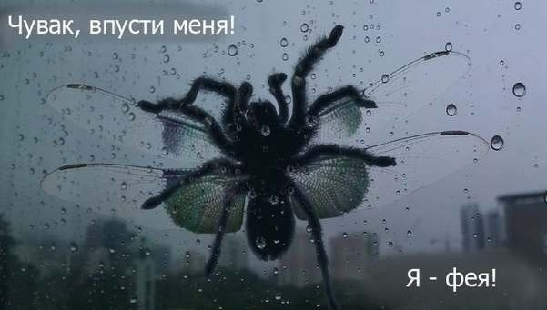 Заберите у него лабораторию