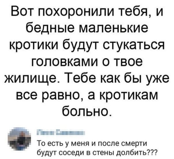 Скриншоты и комментарии из социальных сетей 16.09.22
