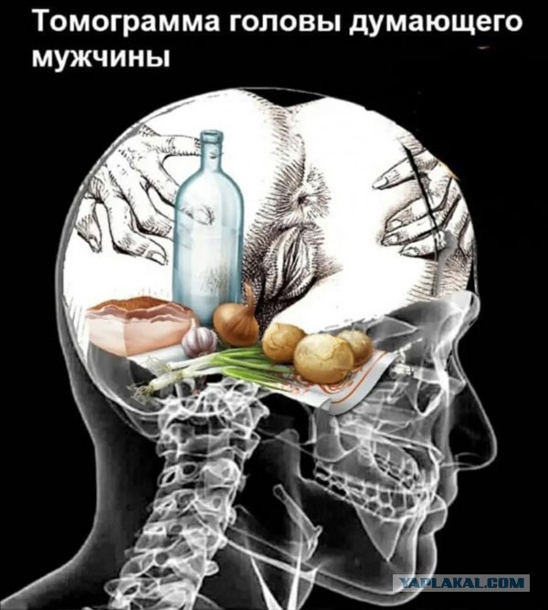 Кулинария. Борщ и пельмени по заказу