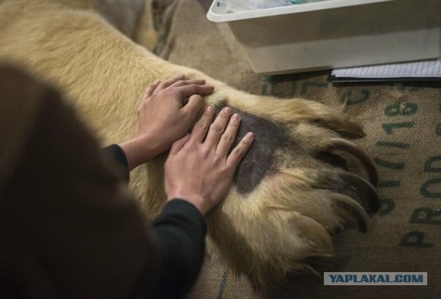 30 любопытных противопоставлений, которые позволят по другому взглянуть на мир
