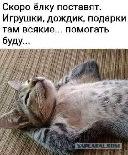 Только прикоснись!