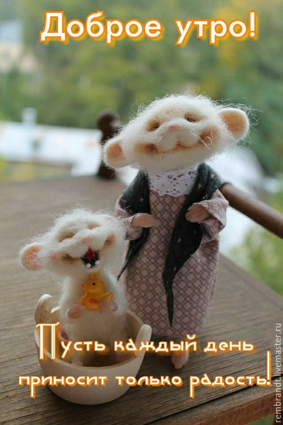 Прикольные и просто красивые картинки 29.11.2022