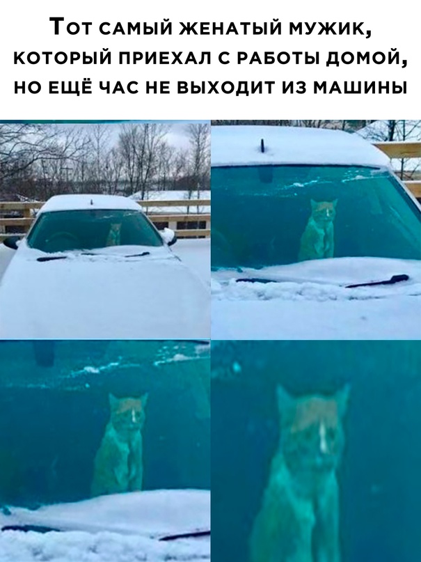 Немного картинок для настроения - 137