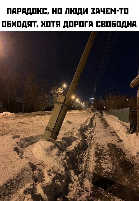 Весёлый полтишок 11.01.23