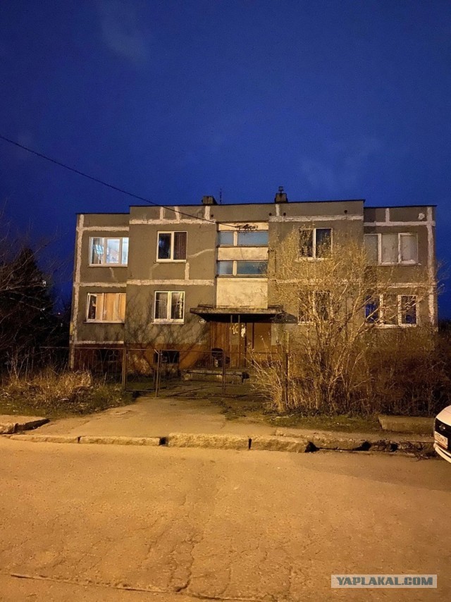 Так себе картинки 15.02.23