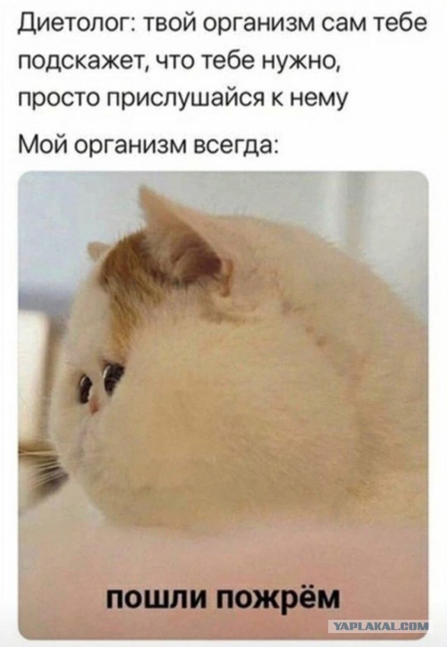 Так себе картинки 27.02.23
