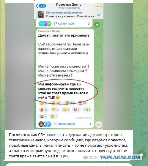 Воронеж. Задержана опасная активистка