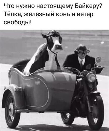 Прикольные и просто красивые картинки 14.03.2023