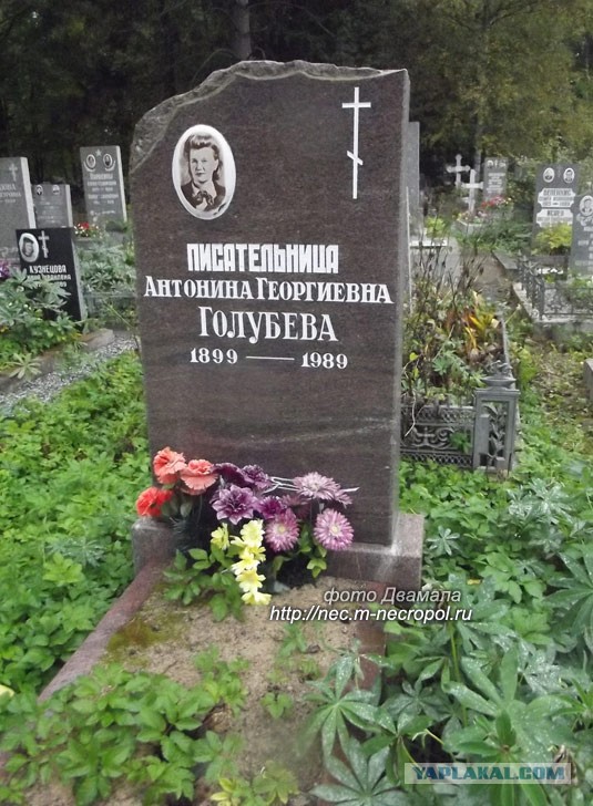 Барабулька и Долгоносик...