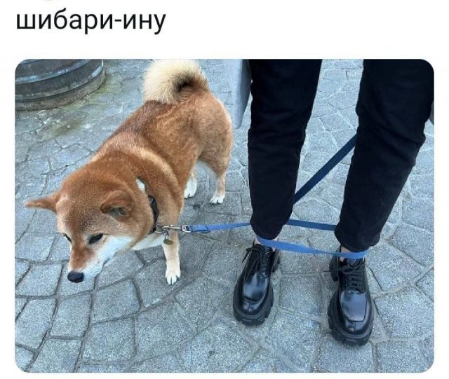 Картинки и мемы для настроения - 167