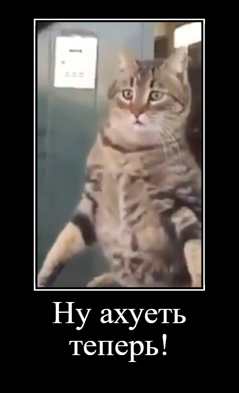 Его первая поездка