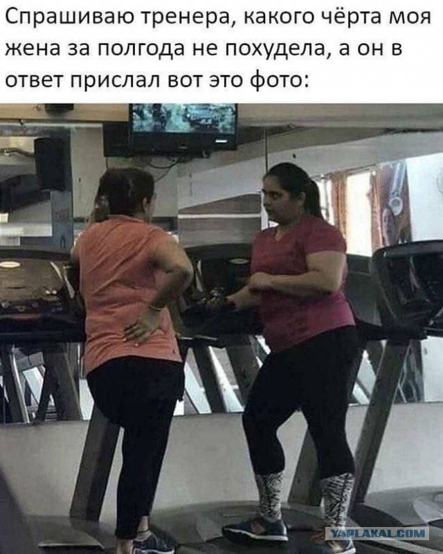 Жена-корова