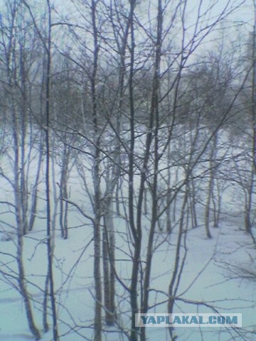 Зимний Мурманск