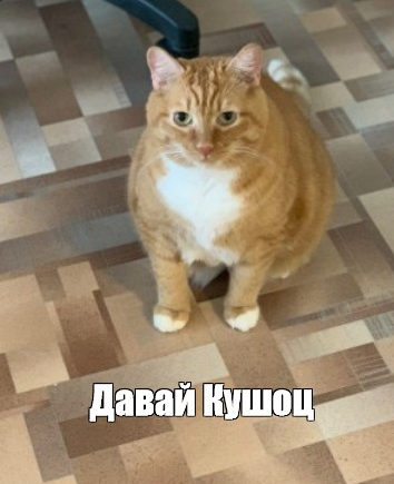 Мой повелитель