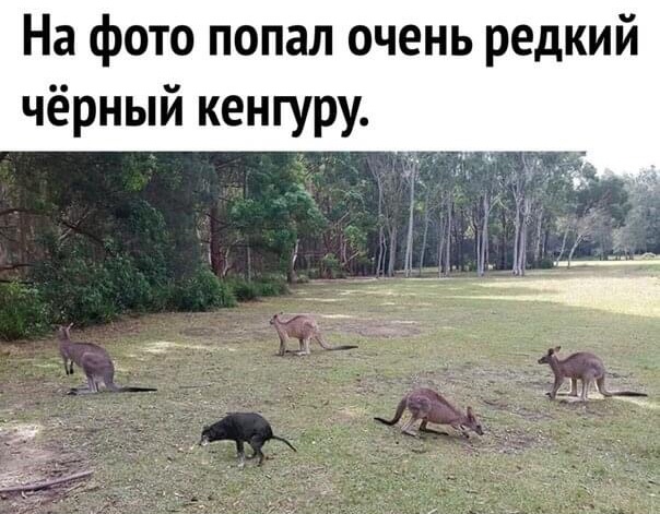 Полагаю, что страну, в которой произошло это дтп, называть не надо