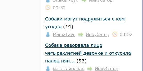 У собак много друзей