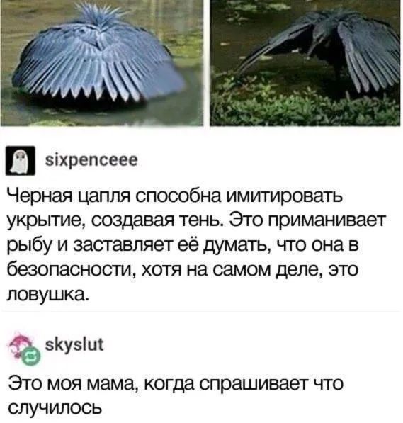 Завалялось тут случайно немного забавных картинок