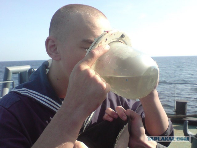 Если вдруг у вас нет рюмок