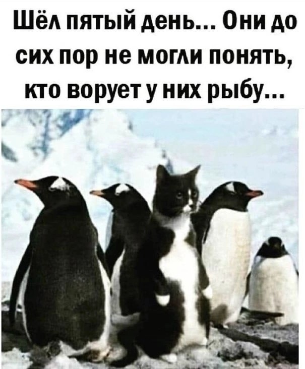 Картинки выходного дня