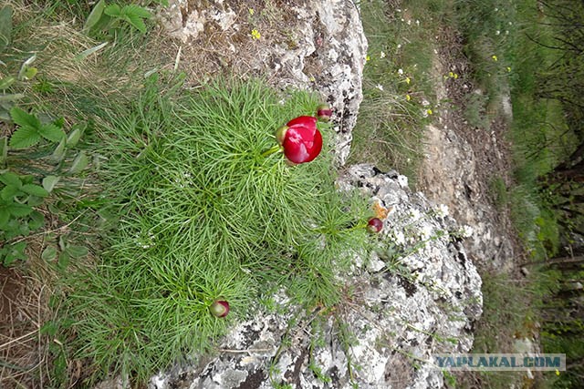 Через горы к морю!