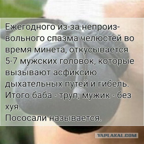 Робототехника идёт вперёд огромными шагами