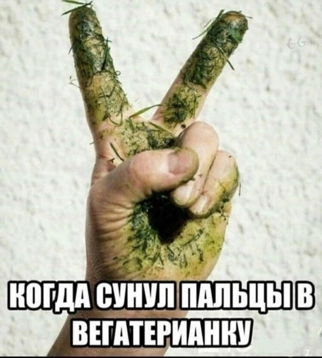 Так себе картинки 28.05.25