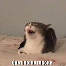А как всё хорошо начиналось.