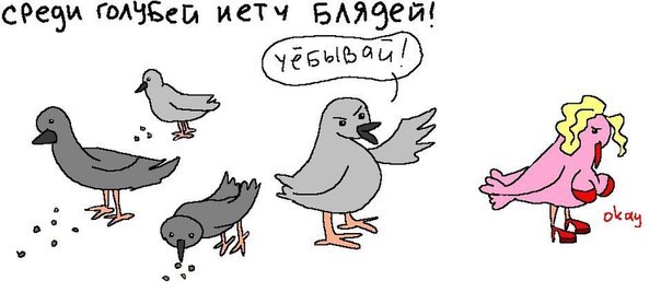 Этого вы уже не развидите, но именно так выглядят банатские куриные голуби