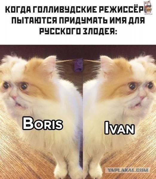 Так себе картинки 19.08.25